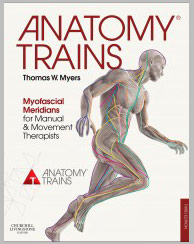 Anatomy Trains