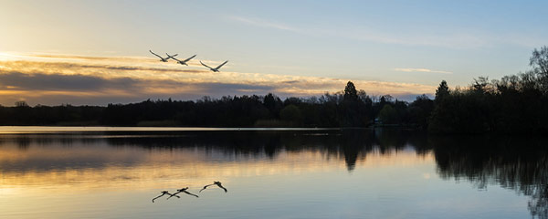 peaceful nh lake